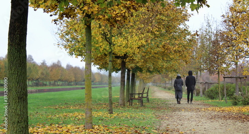 Coppia di persone che cammina sul sentiero in campagna in autunno