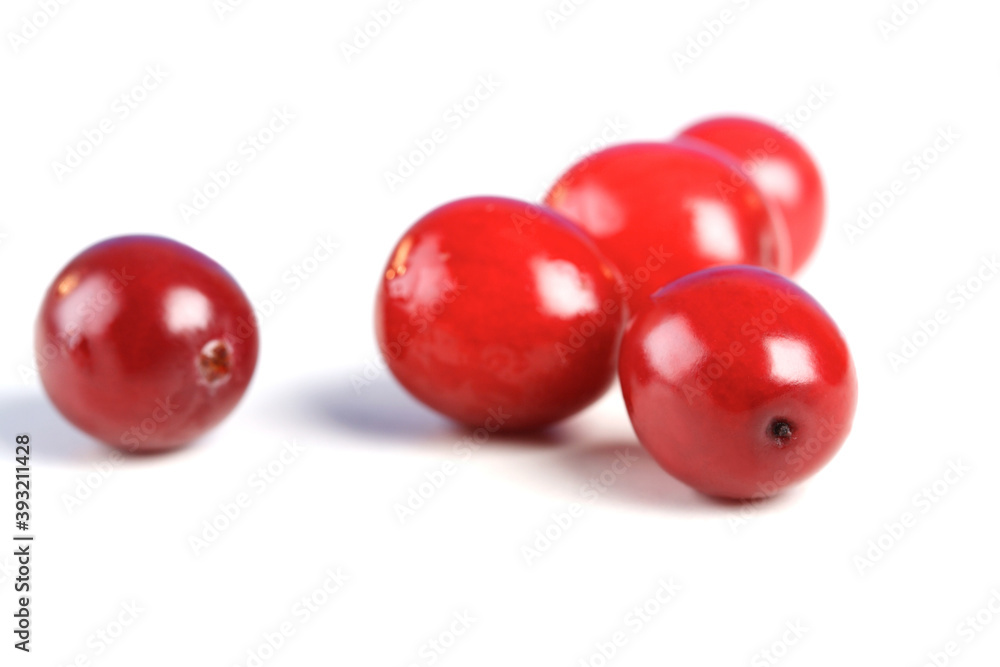 Cranberries Cranberries