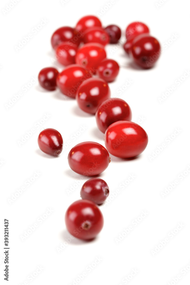 Cranberries Cranberries