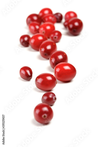 Cranberries © moodboard