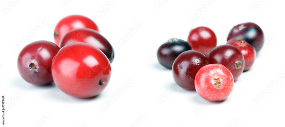 Cranberries Cranberries