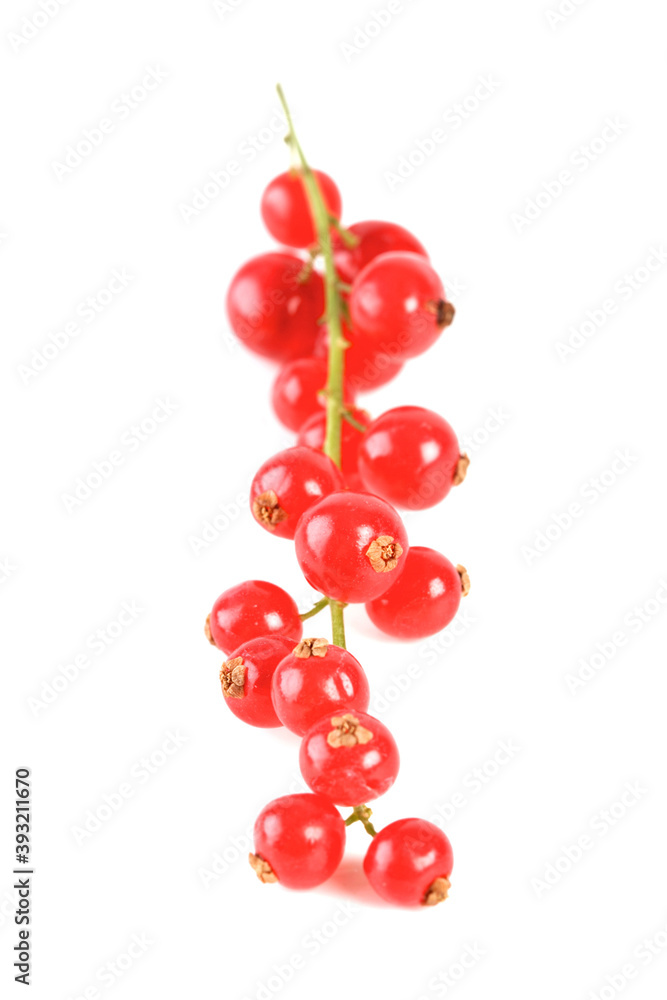 Redcurrants Redcurrants