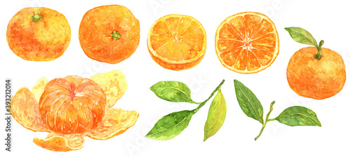 オレンジ　たくさんのみかん　素材集　水彩画　 photo