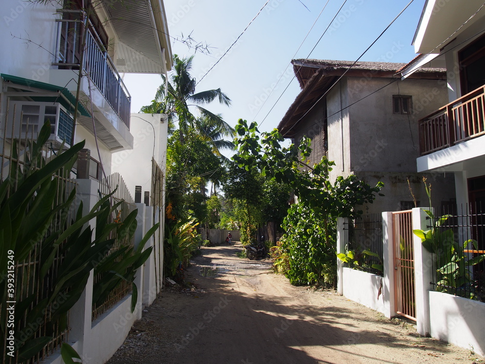 Houses surrounded by beautiful greenery, General Luna, Siargao Island, Philippines, Philippines