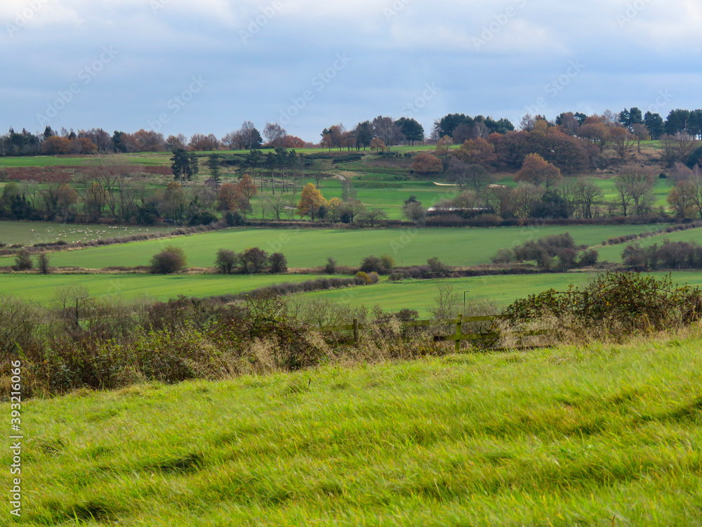 Green fields in Yorkshire