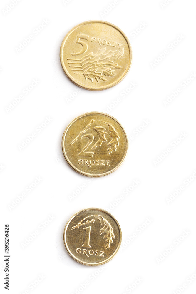Polish money - zloty isolated on white background Polish money - zloty isolated on white background
