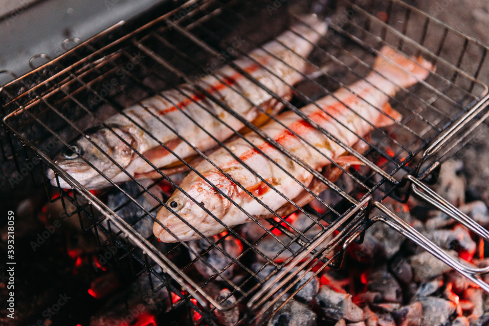 Trout is cooked on a grill on charcoal, cooking fish with your own hands