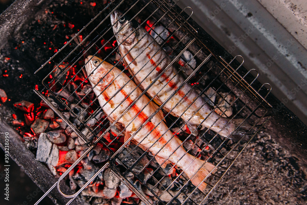 Trout is cooked on a grill on charcoal, cooking fish with your own hands