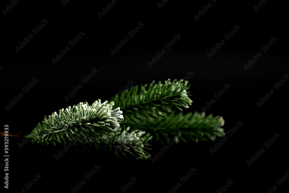 Kolorowe ozdoby świąteczna na zielonej gałązce choinki. - obrazy, fototapety, plakaty 