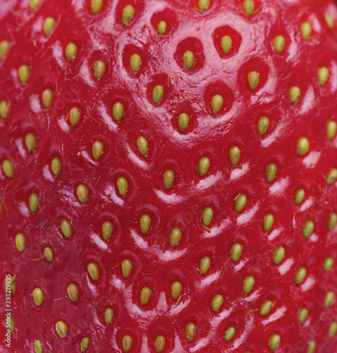 Wallpaper Mural Strawbwrry on white background - close-up Torontodigital.ca