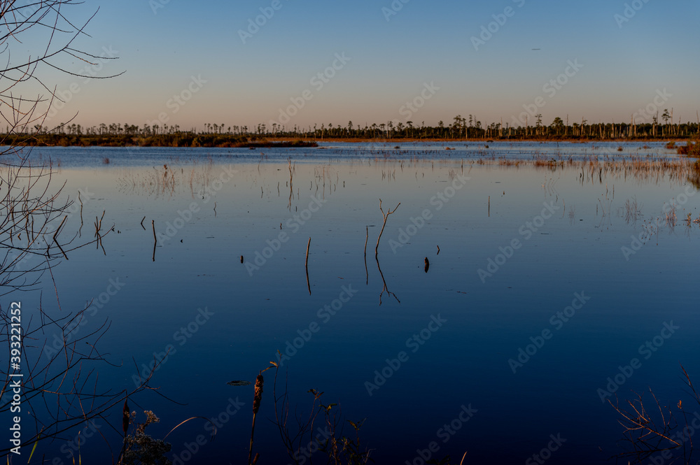 High Water in Swamp with Morning Blue Reflections
