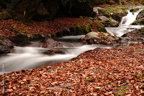 紅葉と落ち葉が積もった菊池渓谷の秋の風景