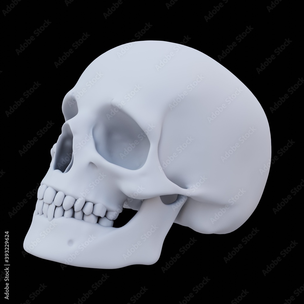 Obraz premium Skull Image