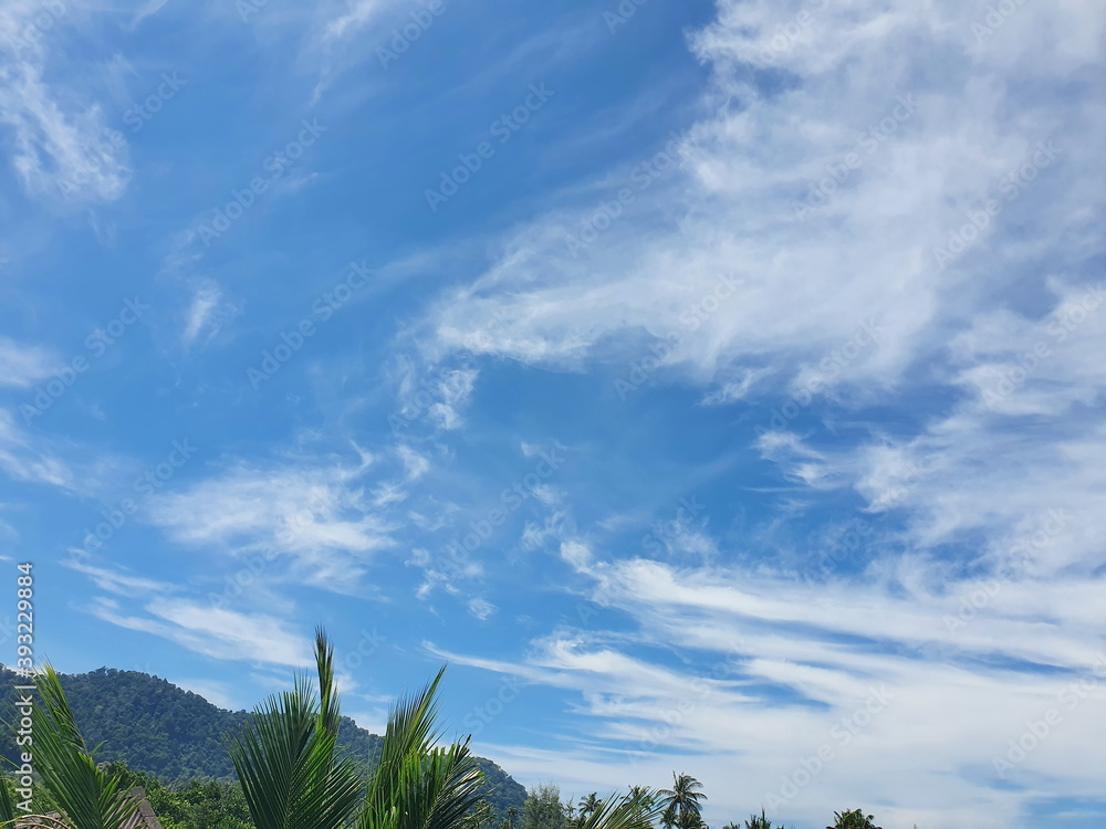 Mountain scenery - trees - sky - white clouds (Cirrus) scattered with little sunlight. The quiet atmosphere of nature by the sea is suitable for a long holiday.
Mountain scenery - trees - sky - white clouds (Cirrus) scattered with little sunlight. The quiet atmosphere of nature by the sea is suitable for a long holiday.