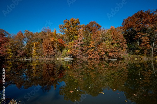 Trees and buildings reflect off the Lake in Central Park, New York City