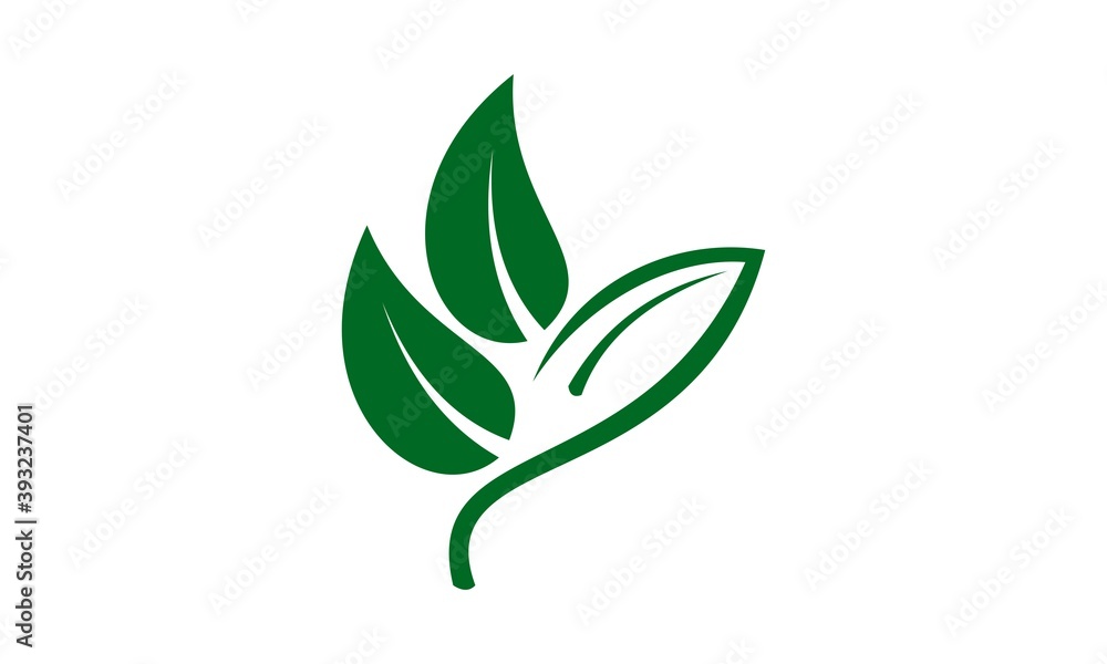 leaf vector nature leaf vector nature