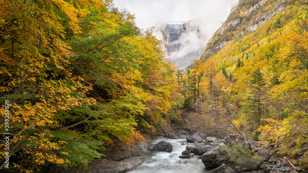 Beutiful yellow forest in autumn Valley and Mount Perdido in cloudy sky, Ordesa National park, Spain Beutiful yellow forest in autumn Valley and Mount Perdido in cloudy sky, Ordesa National park, Spain