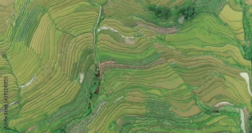aerial view of the scene of green rice fields in Yuanyang Terrace Scenic Area