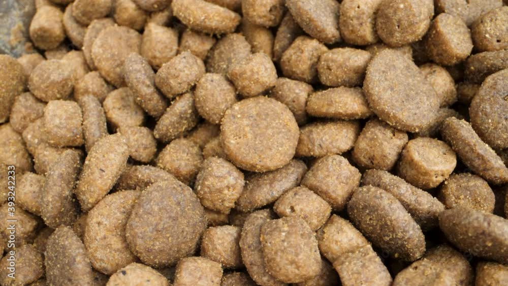 nutritious dry dog food nibble nutritious dry dog food nibble