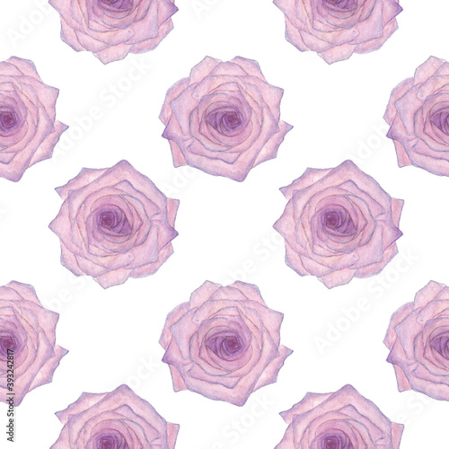 Pink roses seamless pattern. Watercolor illustration isolated on white background.