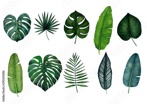 Set of tropical leaves  monstera  palm  banana  saw palmetto  calathea. Watercolor illustration isolated on white background.