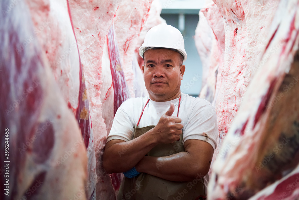 A professional butcher in the factory's cold storage with the carcass of Japanese Wagyu beef in the background. Slaughterhouse food production