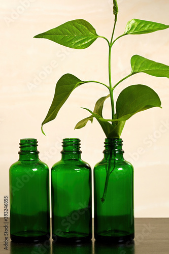 Set of green cosmetics bottles with foliage inside. Natural herbal cosmetics and traditional medicine