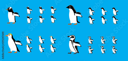 Animal Animation Sequence Chinstrap Adelie Royal Penguin Cartoon Vector