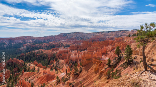 Utah Landscape 