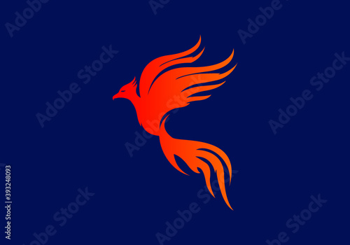 modern abstract flying phoenix bird vector icon