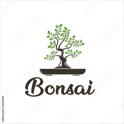 bonsai oak tree logo design template silhouette vector