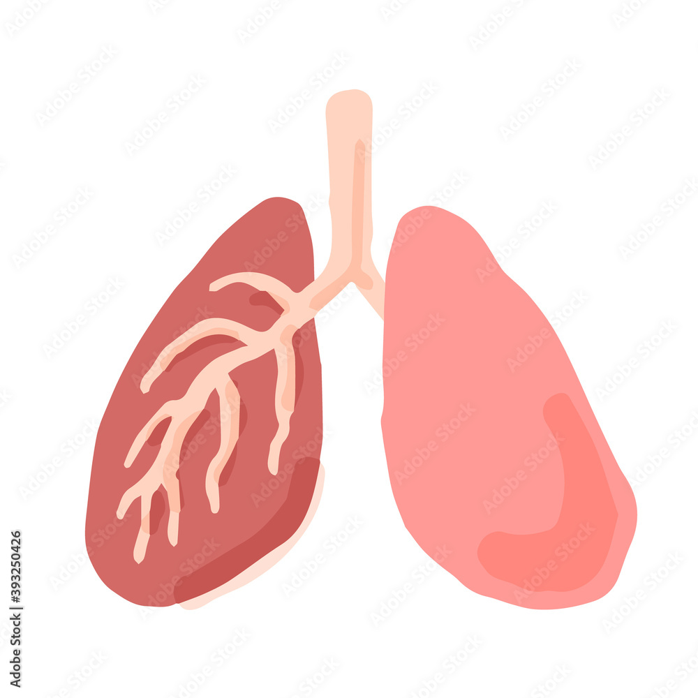 Human lungs; Hand drawn vector illustration like woodblock print Human lungs; Hand drawn vector illustration like woodblock print