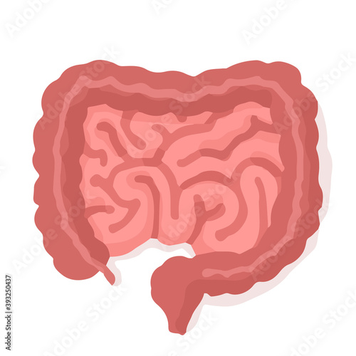 Human intestine; Hand drawn vector illustration like woodblock print