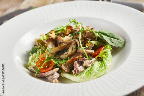 Oyster mushrooms and meat salad plate