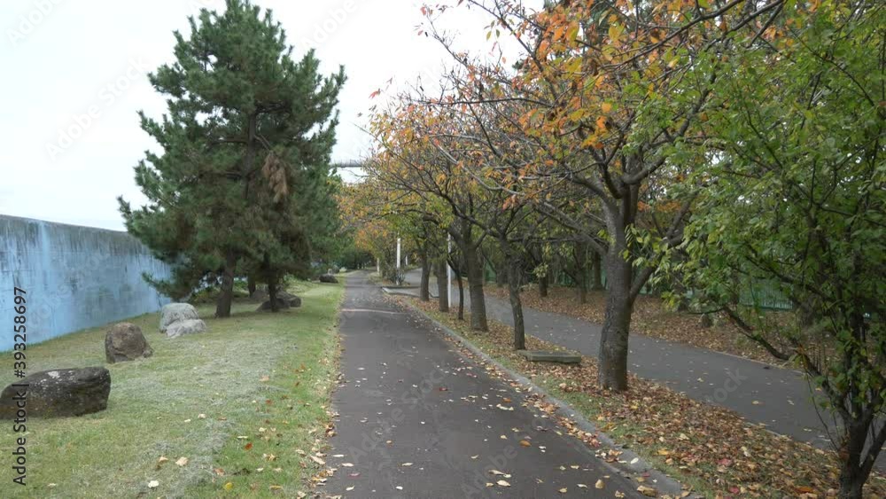 新木場緑道公園(2020年11月)
新木場緑道公園(2020年11月)