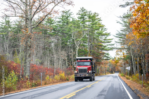 Red day cab big rig semi truck with tip trailer running on the straight forest road with autumn trees