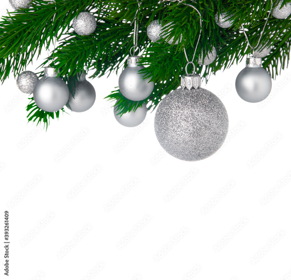 Christmas balls on a Christmas tree branch isolated on white background, copy space