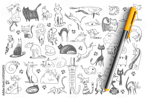 Cats doodle set. Collection of hand drawn childish patterns domesticated animals kitties kitten pets in different poses isolated on white background. Human friends vector illustration for kids.