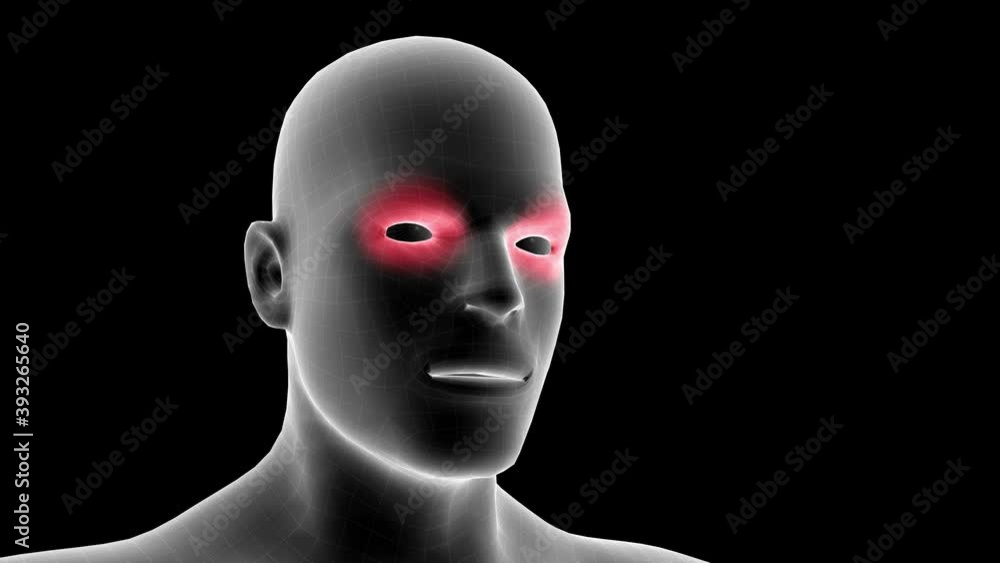 3d animation of a men xray hologram showing pain area on the eyes with alpha channel 3d animation of a men xray hologram showing pain area on the eyes with alpha channel