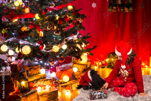 Beauty happy kid giving Xmas gift to his dog