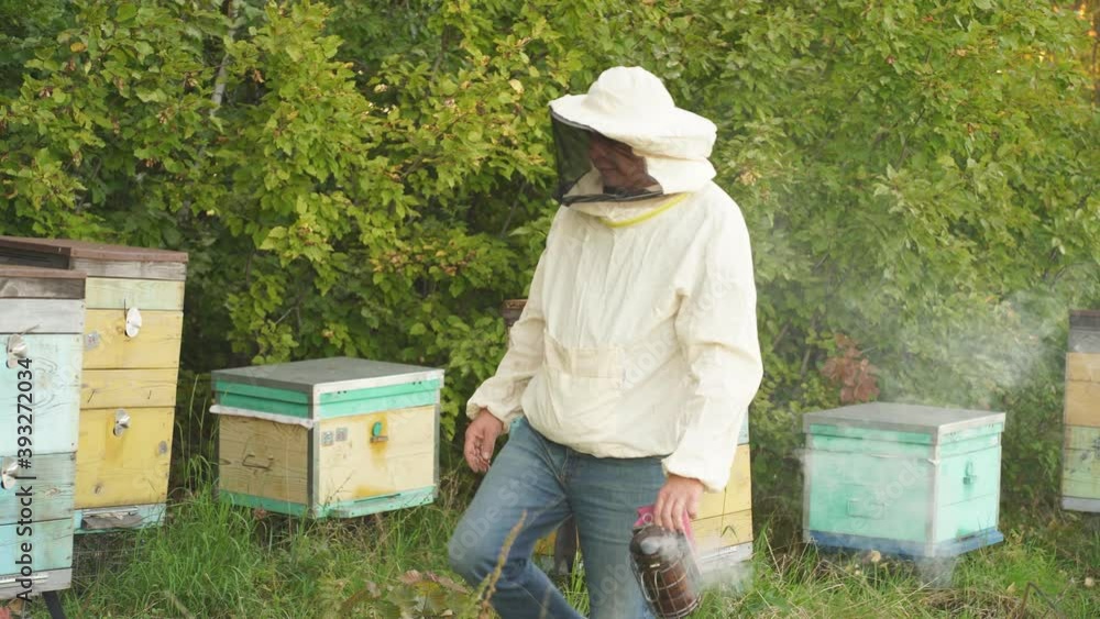Beekeeper near the hives in nature. Apiculturist in white protective suit working on apiary in rural place. Beekeeper near the hives in nature. Apiculturist in white protective suit working on apiary in rural place.