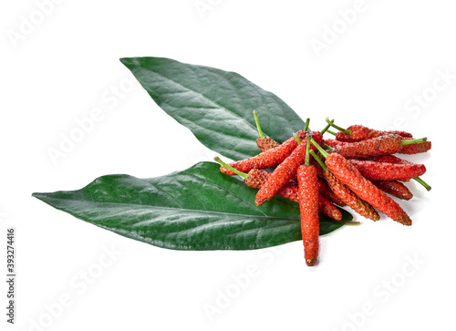 Long pepper or Piper longum isolated on white background photo