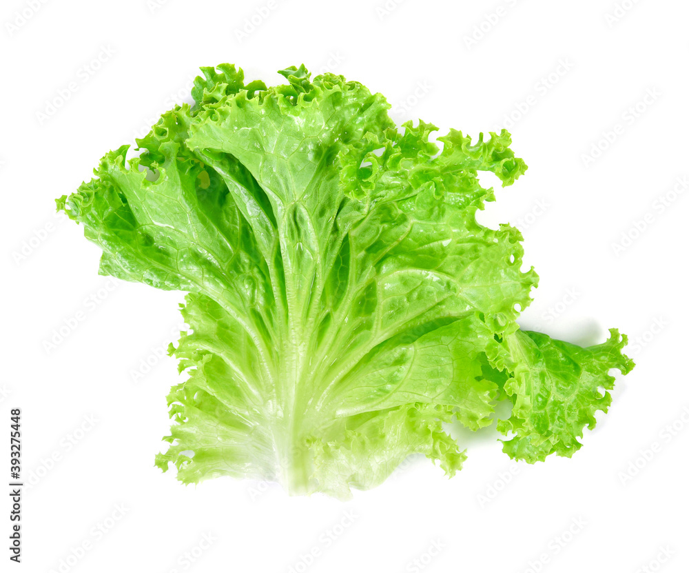 Salad leaf. Lettuce isolated on white background. Top view Salad leaf. Lettuce isolated on white background. Top view