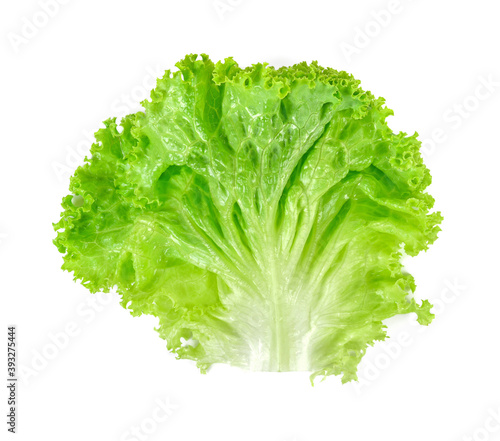Salad leaf. Lettuce isolated on white background. top view