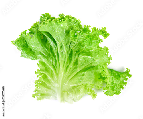 Salad leaf. Lettuce isolated on white background. Top view