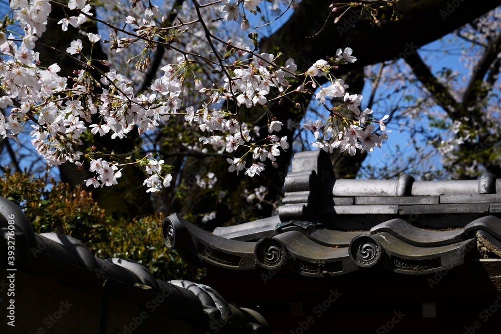 上野東照宮 Stock Photo Adobe Stock