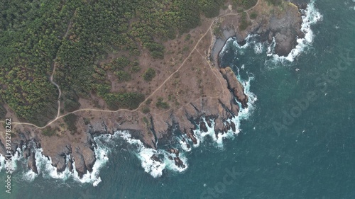 Cliff-side forest and grasslands near ocean