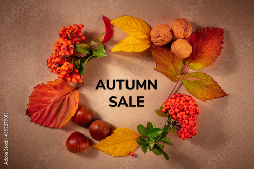 Autumn Sale banner with a wreath of chestnuts, nuts, and fall leaves, a flat lay, shot from the top on a brown background