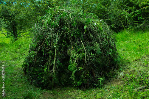 temazcal mexicano hecho de ramas verdes en un bosque photo