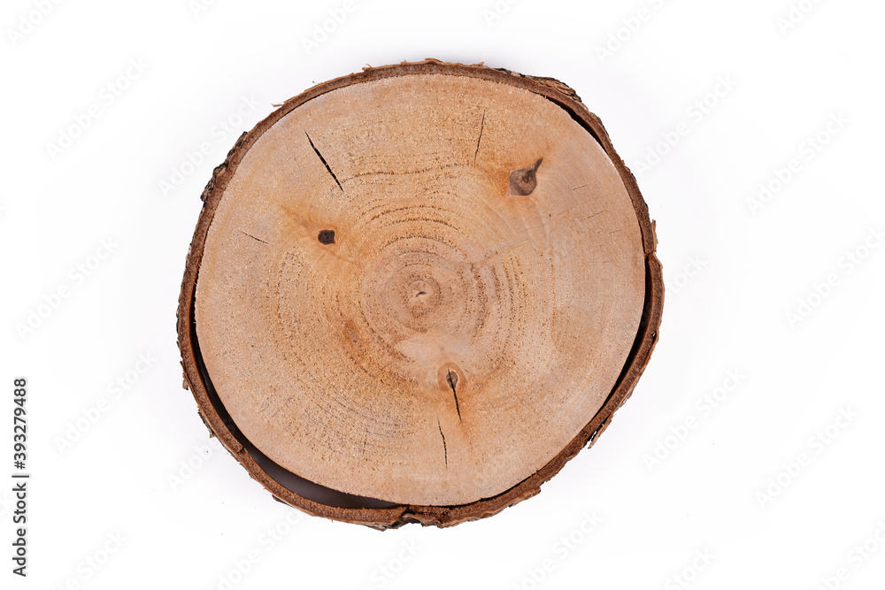 Round tree slice with bark isolated on white background Round tree slice with bark isolated on white background